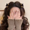 The new Maillard Cherry Clip for women's 2025 autumn/winter collection features a high ponytail with a high-end bangs and side fringes details Picture